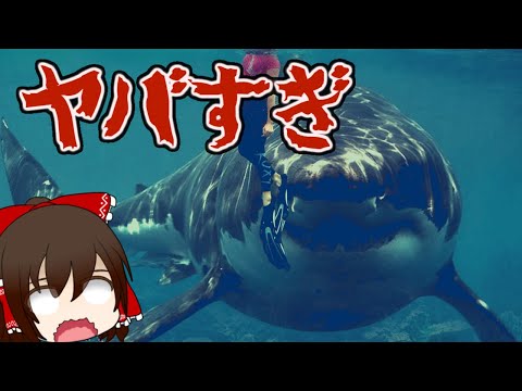 【ゆっくり解説】海・川に実在する世界最大の巨大生物ランキング17選