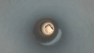 M.J. Nicholls reads from Trimming England