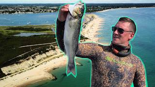 Spearfishing for Bass in the Shallows of Hengistbury Head! Catch and Cook!