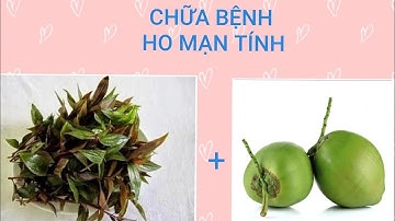 Chữa ho mạn tính || Lá thuốc dòi và dừa xiêm