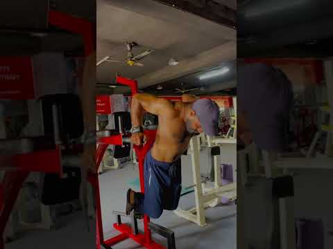 parallel dips bar