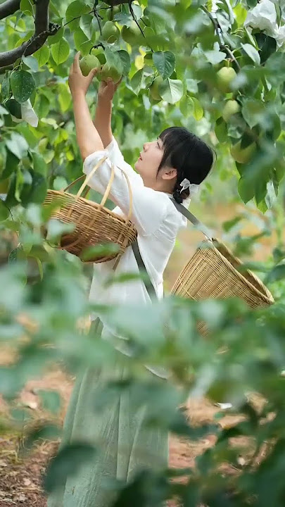 Beautiful Nature with Rural Life (P107) - Fruit for summer