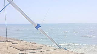 Mikey Zee is live fishing off Bridlington harbour UK