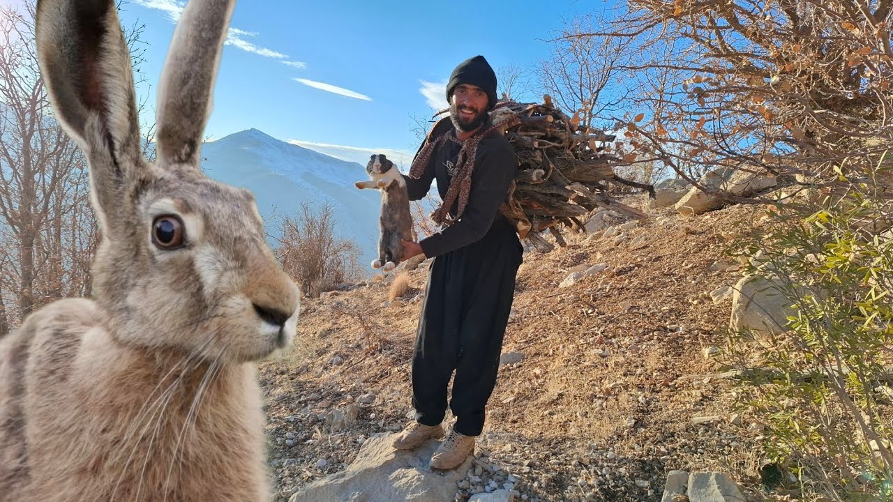 Ali's encounter with the rabbit in the heart of the mountain | A ...