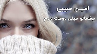 Amin Habibi - Music Video Cheshmato Kheili Doost Daram (امین حبیبی -  چشماتو خیلی دوست دارم)