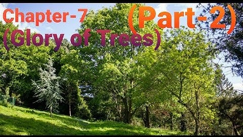 EVS; Class-5th; (Chapter-7);(Part-2);(Glory of Trees 🌳🌴)
