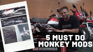 5 Necessary Mods for Your 2019 Honda Monkey | Yoshimura Exhaust | Fender Eliminator