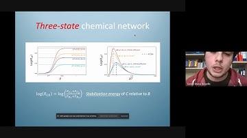 Daniel Maria Busiello: Non-equilibrium selection of chemical states driven by dissipation phenomena