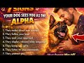 7 Signs Your Dog Sees You as the Alpha (Most Owners Miss #4)