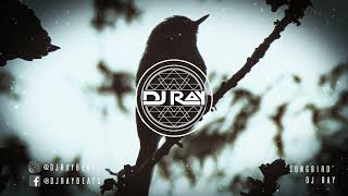 *FREE* | EMOTIONAL PIANO STORYTELLING BEAT | 2023 | Songbird | PROD DJ RAY