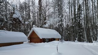 ЗАМЕЛО ПО ОКНО! ВЕРНУЛСЯ В ЛЕСНУЮ ИЗБУ СПУСТЯ 2 МЕСЯЦА. ГОТОВИМ В КИРПИЧНОЙ ПЕЧИ