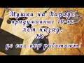 Мушки на Хариус придуманные 10-ки лет назад,но до сих пор работают!