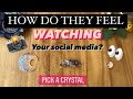 HOW DO THEY FEEL WATCHING YOUR SOCIAL MEDIA? 📺 👀 PICK A CARD