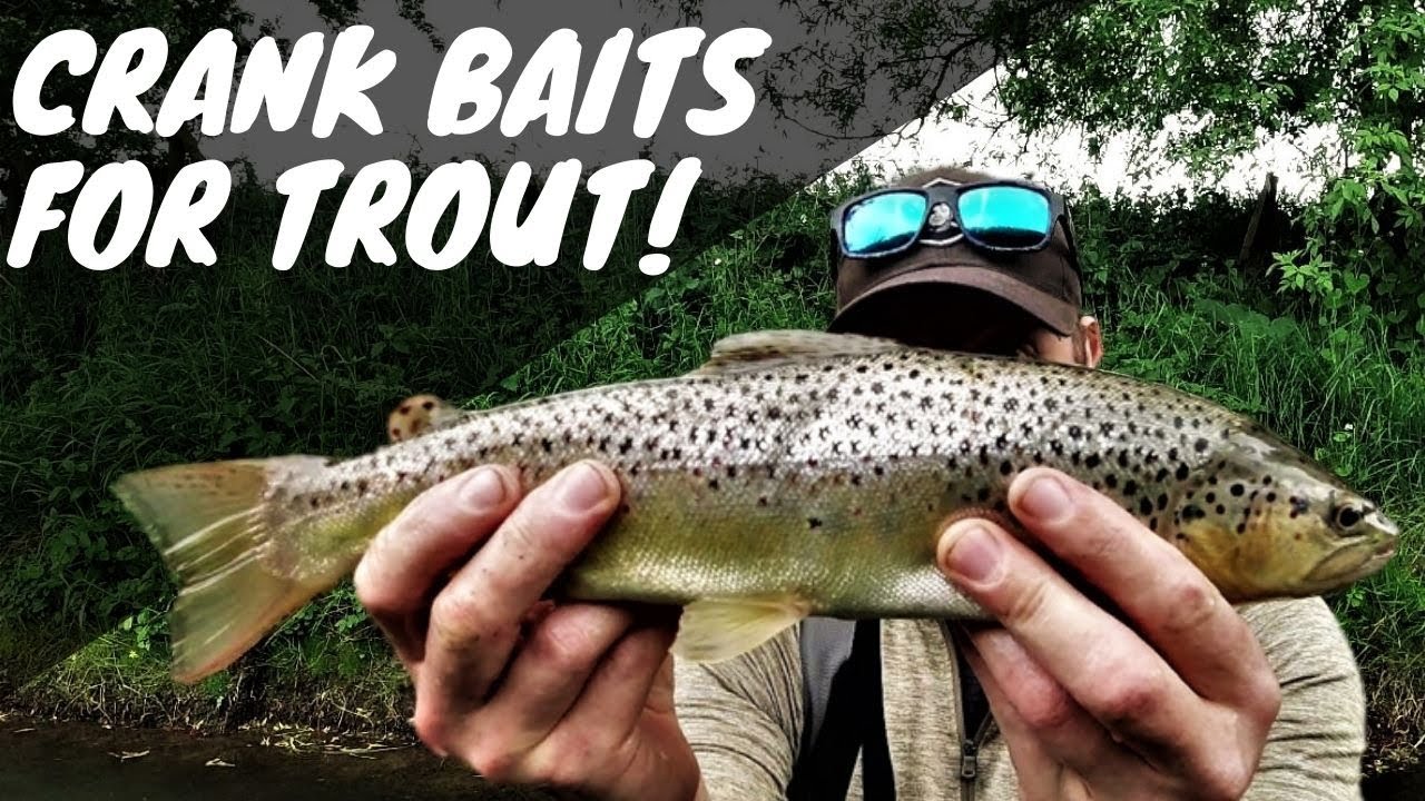 Small Stream Brown Trout fishing with Crank Baits. 