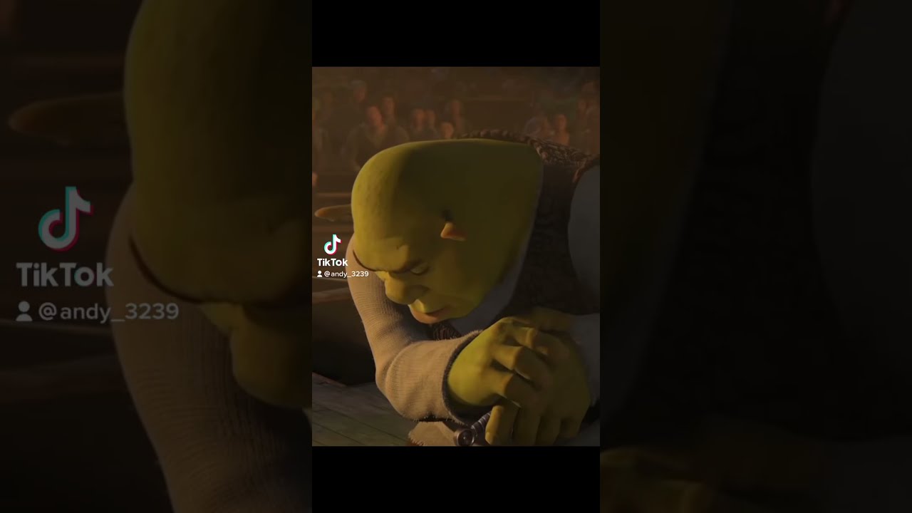 Shrek Is A Rizzard Rizz Shorts