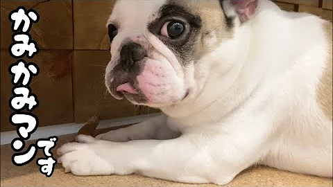 思ってたんとちがう Mp3 思ってたんとちがう Mp3