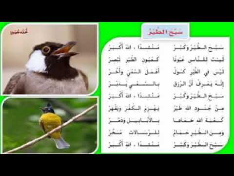 نشيد سبح الطير