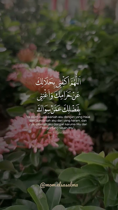 Motivasi Harian | status WA #quotes #motivasiislami #sholawat #harapan #motivasidiri #doa #harapan