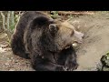 Разходка до Парк за танцуващи мечки, гр. Белица (04.10.2020) | Travel & Relax | #1