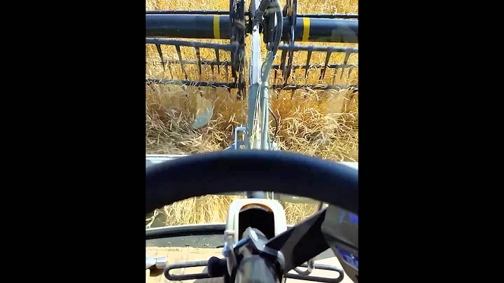 Swathing 101