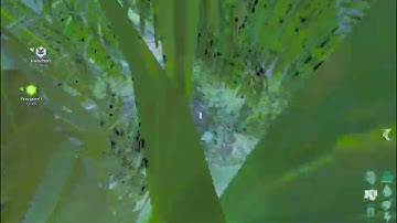 ARK: Ascended (NO Trees command) AFTER patch