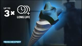 Bosch EXPERT SDS Drill Bits