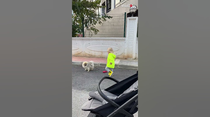 Hilarious toddler takes dog for a walk
