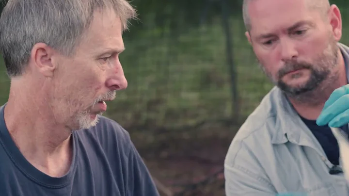 Feral Swine in America Episode 8: Genetics