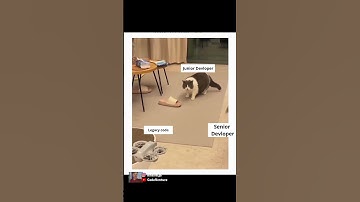 bro was there when it was written #coding #programming #javascript #python