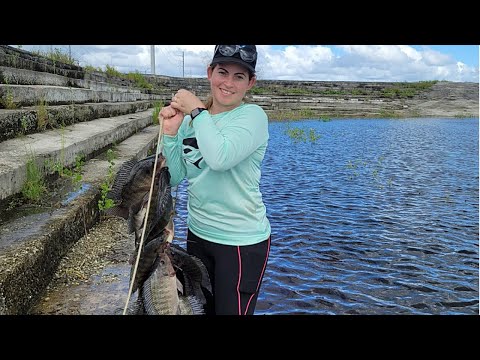 Fishing for INVASIVE BLUE TILAPIA with Viktor LANDSHARK, FLORIDA blue TILAPIA FISHING!