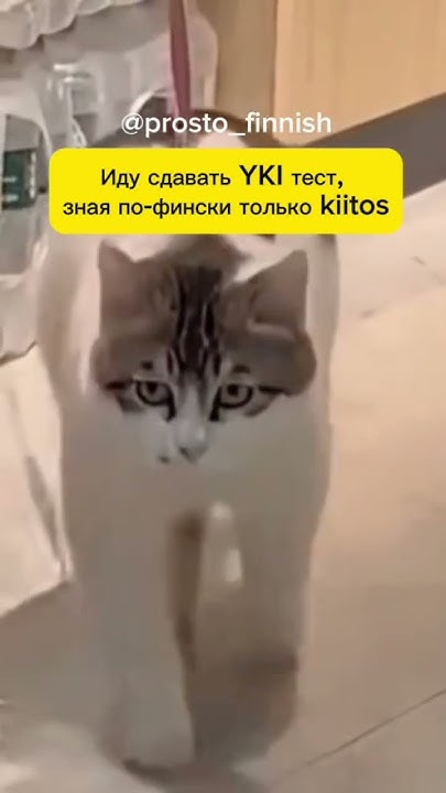Знакомо? 😂#простофинский #мем #финскийязык #финляндия # ...