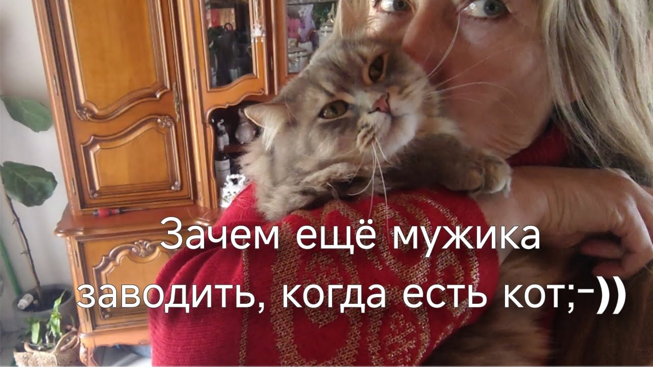 Наколдовала жильцов. Наши туманы. Набрала хлеба.