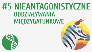 Nieantagonistyczne oddziaływania międzygatunkowe #5 [ Ekologia ]