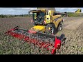 Sonnenblumen Ernte 2023 Mähdrescher New Holland CR 9.80 &amp; Traktor Valtra Combine Harvester Sunflower