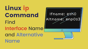 Bash script to find network interface name in Linux with ip command