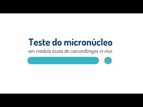 Vídeo: Aumento de células micronucleadas?