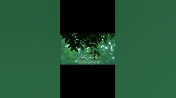 { وَاللَّهُ يَدْعُو إِلَىٰ دَارِ السَّلَامِ } تلاوة هادئة من سورة يونس #اكسبلور #القرآن_الكريم #fyp