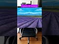 Campos de Lavanda / Lavender Field Oil Painting