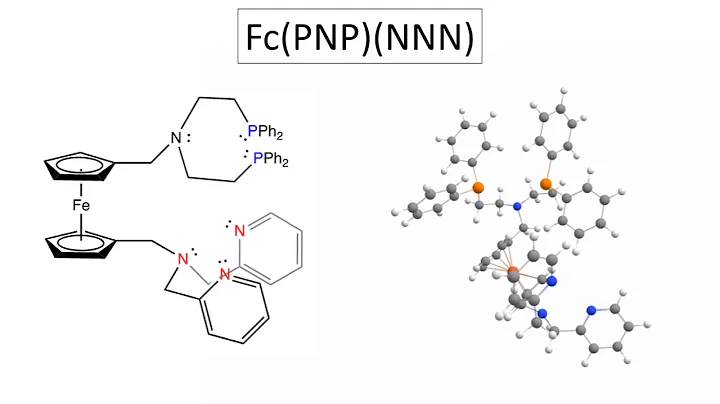 Multimetallic Complexes Supported by a PNP/NNN-Fer...