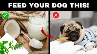 Are You Neglecting Your Dog's Health? Discover 10 Essential Additions! | Dog Tips | Dog Training by All For Love 292 views 6 months ago 3 minutes, 2 seconds