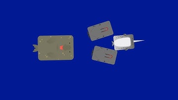 Deeeepio//Elephant Seal Destroys Everyone//Deeeepio Best Moments