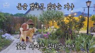 EP 141. | [SUB] 돈을 벌려고 일하는거냐 꽃을 사려고 일하는거냐 | 가드닝 | gardening | 마당있는집