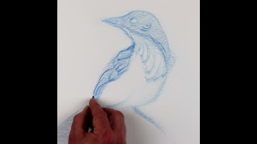 Drawing in 60 Seconds from Brent Eviston