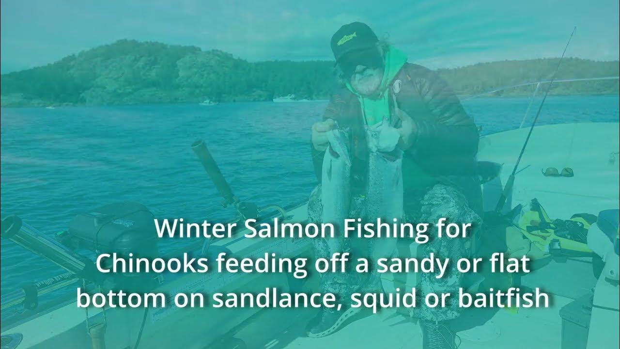 Catch Winter Chinook - Deep Water salmon fishing Buzz Bomb 