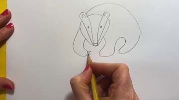 How To Draw A Badger