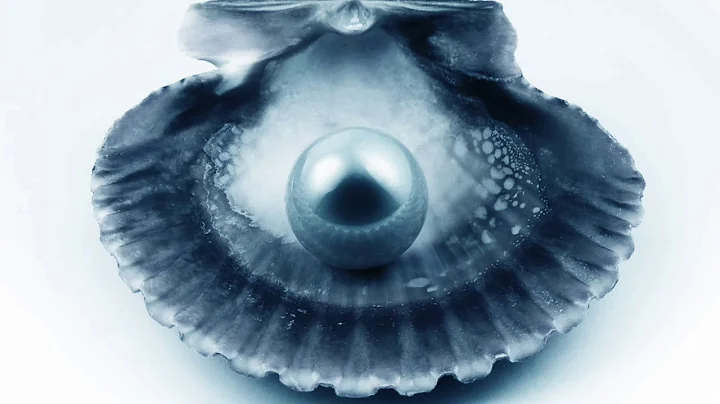 Shells - Steve Dobrogosz (with Annika Skoglund)