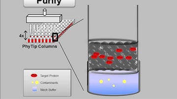 The PhyNexus Tip Concentrating Effect