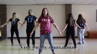 Line Dance Tutorial 2017