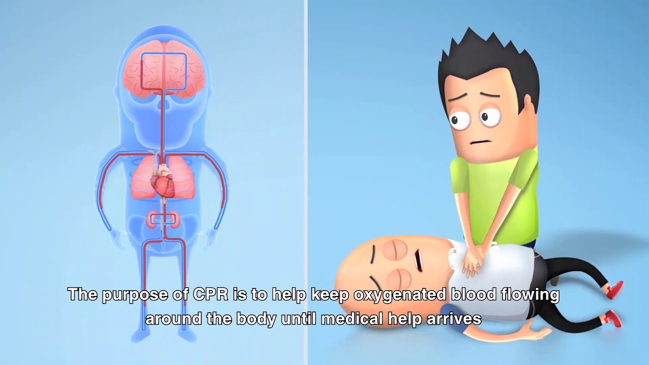 Sudden Cardiac Arrest - Part 2 - YouTube