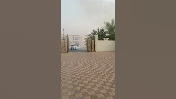 نيسان فتك والقطة 